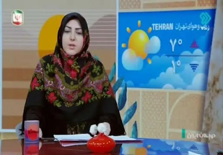 مجری تلویزیونی: چرا دولت باید از جیب مردم هزینه خسارت بیمارستان فوق لاکچری گاندی را بدهد؟