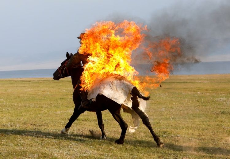 آتش‌بازی روی اسب !