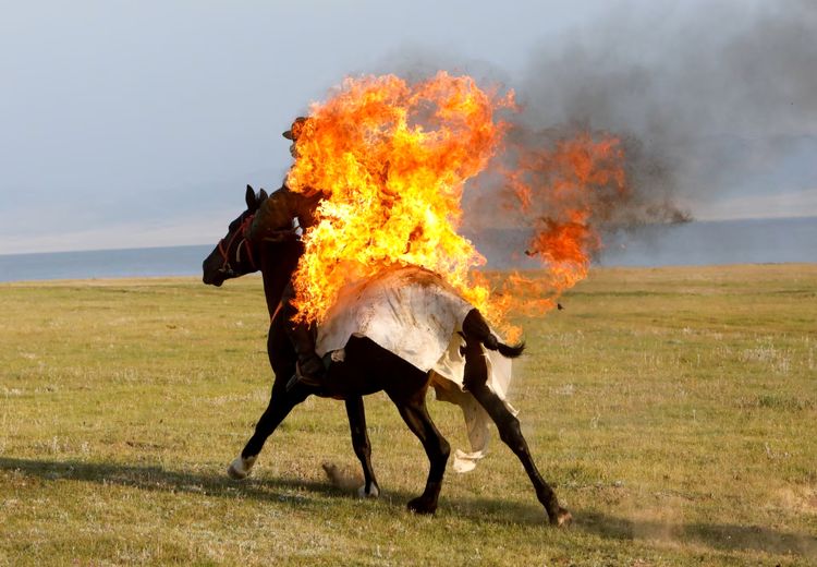 آتش‌بازی روی اسب !