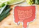 چرا اضطراب باعث افزایش وزن می‌شود؟/ خوراکی‌های محبوب روده از نگاه طب سنتی چینی