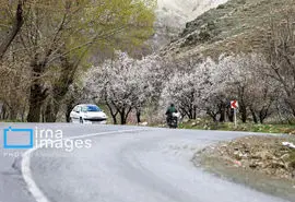 چگونه در زمان جنگ با خودرو شخصی سفر ایمن داشته باشیم؟