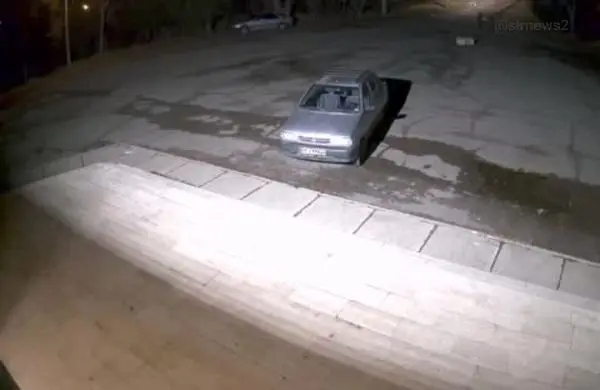 صحنه حمله گرگ به دانشجوی دکتری در محوطه دانشگاه زنجان