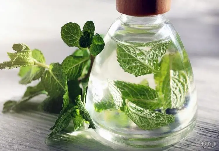 خوردن عرق نعناع برای این افراد ممنوع!