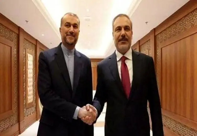 ملاقات امیرعبداللهیان با هاکان فیدان در گامبیا