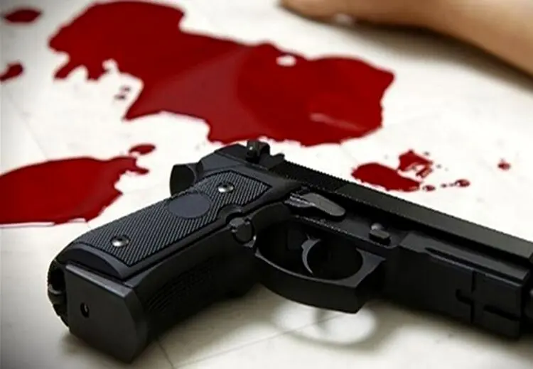 قاتل بخشیده شده مردی را به خاطر بوق زدن کشت