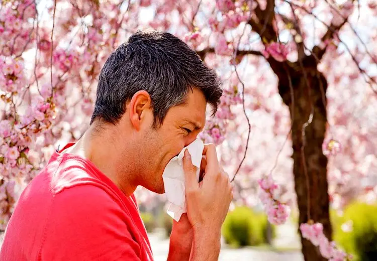 خوراکی‌های مفید برای مقابله با آلرژی فصل بهار !