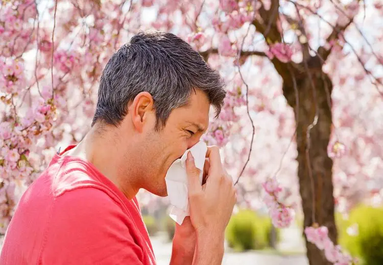 خوراکی‌های مفید برای مقابله با آلرژی فصل بهار !