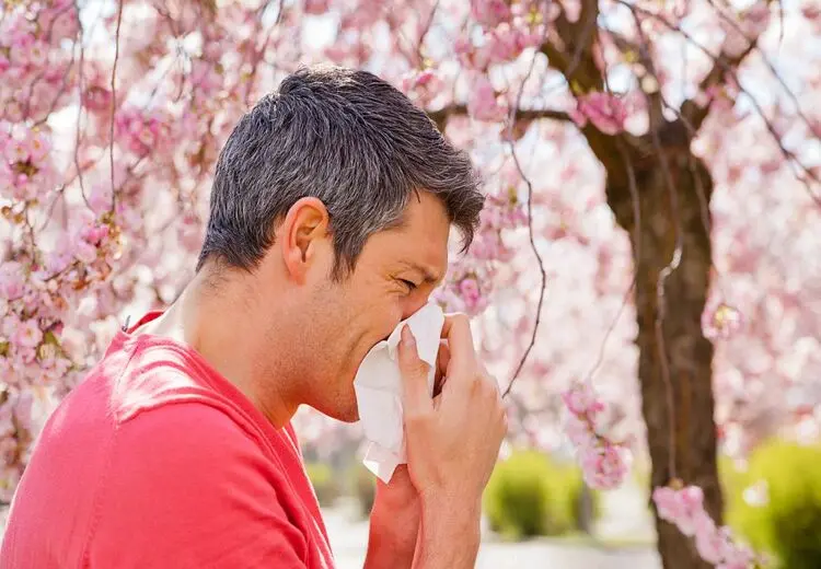 خوراکی‌های مفید برای مقابله با آلرژی فصل بهار !