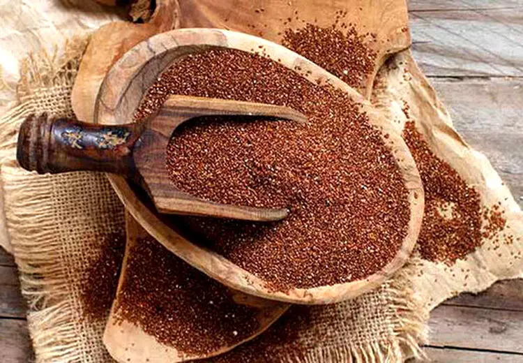 روش ساده گیاهی برای درمان "کبد چرب"