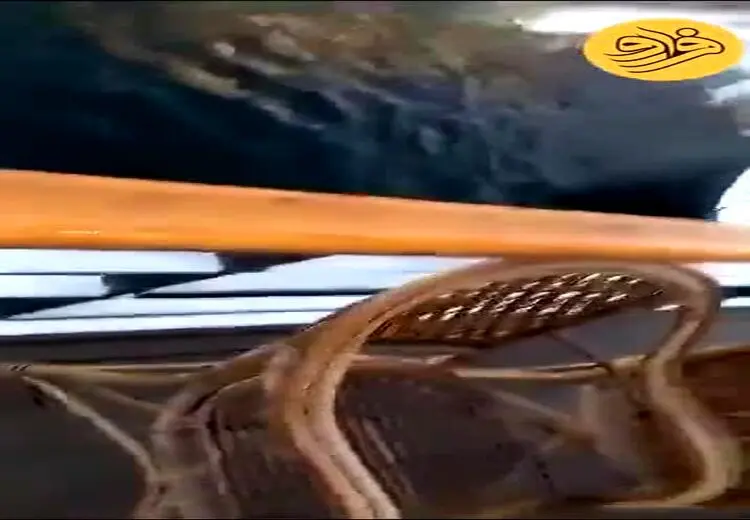 لحظه غرق شدن یک قایق توریستی در مصر