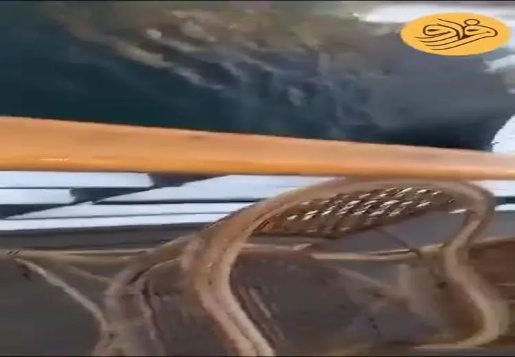 لحظه غرق شدن یک قایق توریستی در مصر