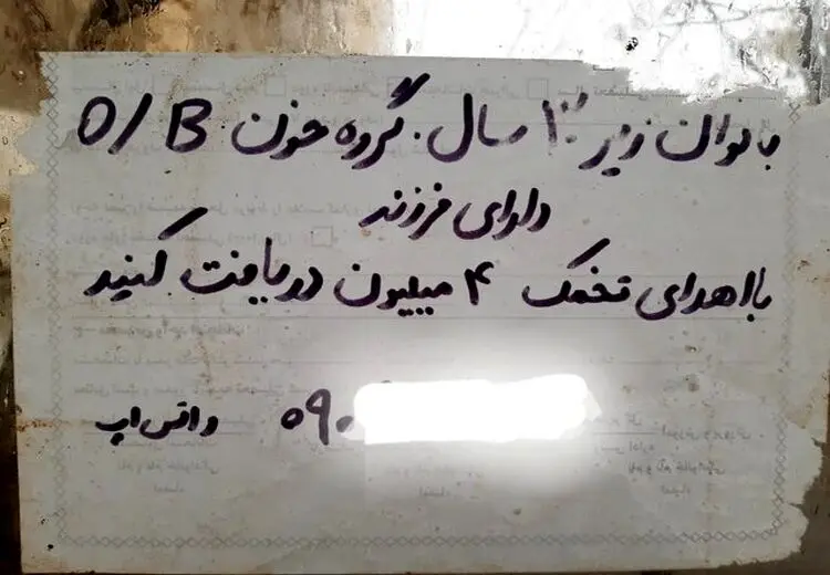 تجارت چراغ خاموش «اهدای تخمک» در اثر فقر