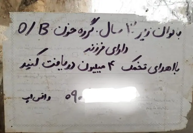 تجارت چراغ خاموش «اهدای تخمک» در اثر فقر