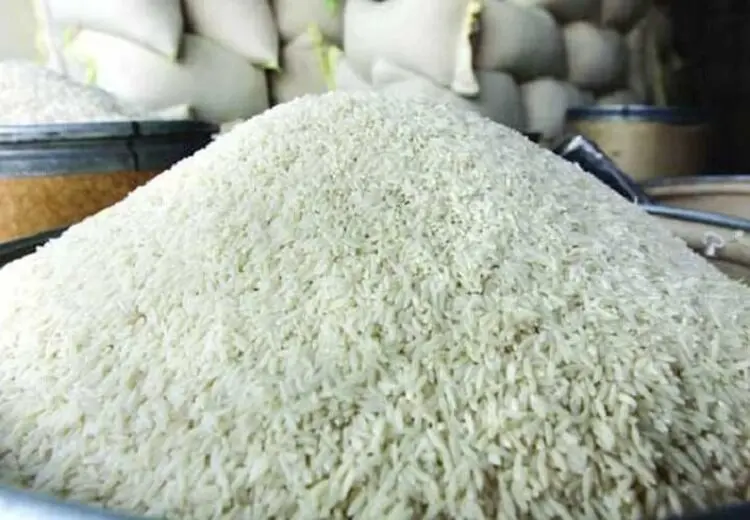 برنج ارزان می‌شود؟