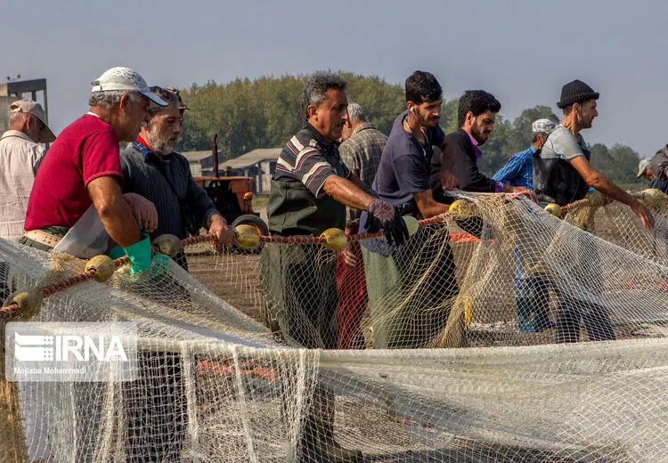 صید ماهی استخوانی