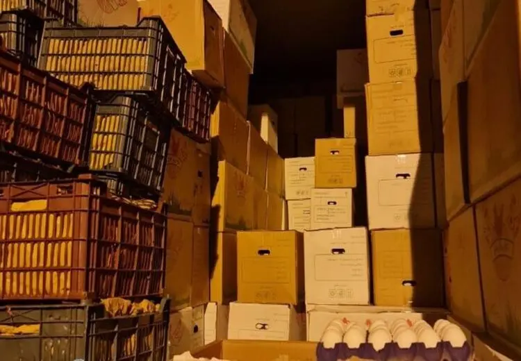 کشف 2100 کارتن تخم مرغ و 84 تُن سیب قاچاق در مرز ایران و عراق