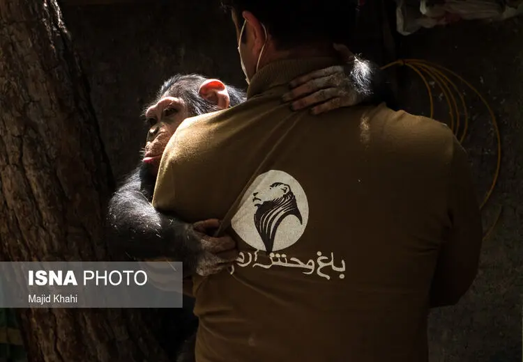 باغ‌وحش ارم در ایام نوروز