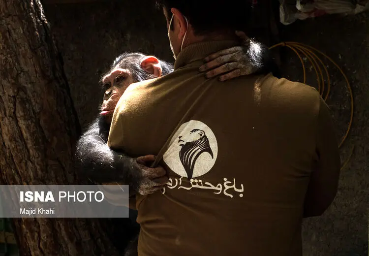 باغ‌وحش ارم در ایام نوروز