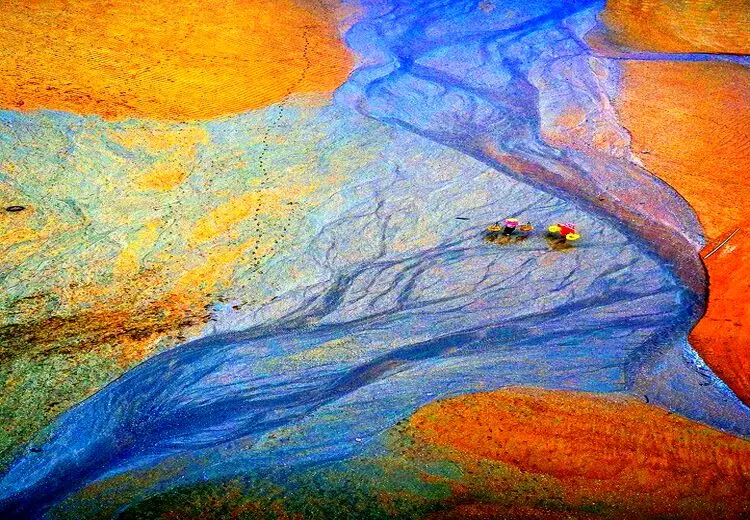 نقاشی طبیعت