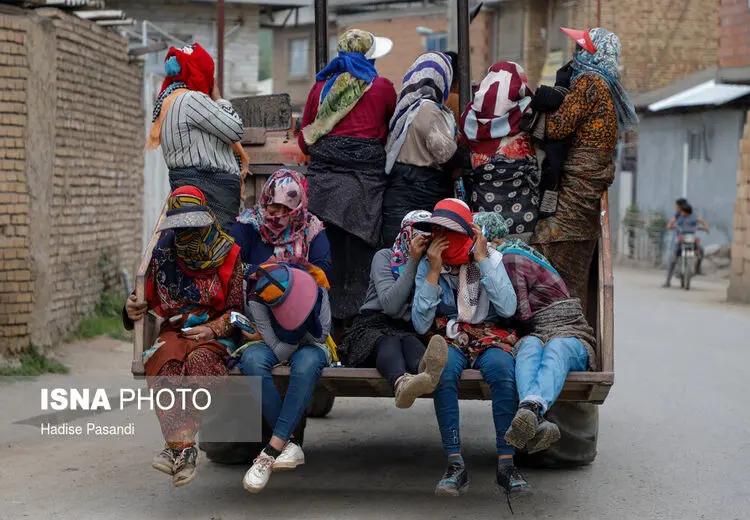 بازگشت از مزرعه توت فرنگی