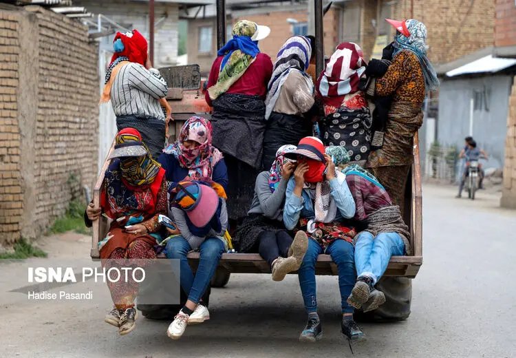 بازگشت از مزرعه توت فرنگی