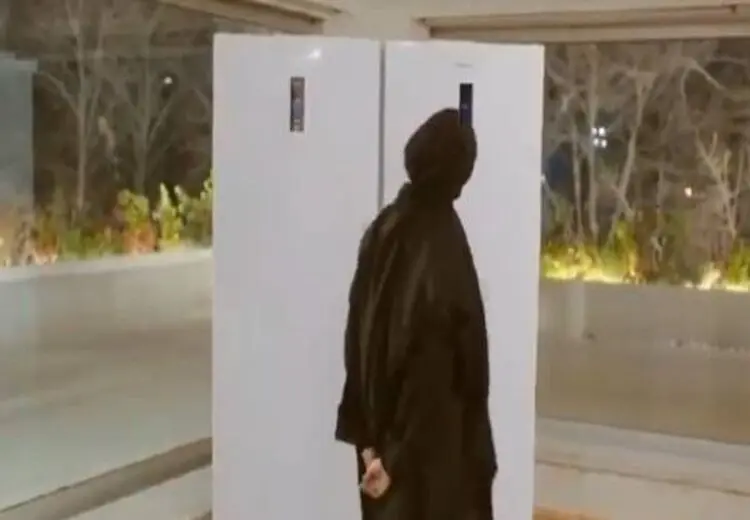 لیلا حاتمی، یخچال سخنگو و زندگی دوگانه