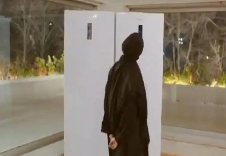 لیلا حاتمی، یخچال سخنگو و زندگی دوگانه