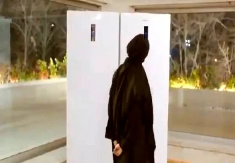 لیلا حاتمی، یخچال سخنگو و زندگی دوگانه