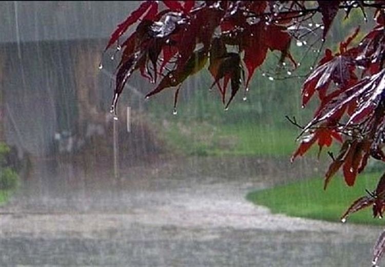 کاهش ۶۰ درصدی بارش‌ها در ایران طی فروردین و اردیبهشت