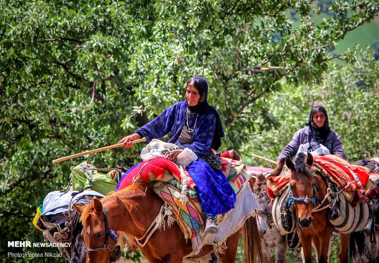 ۴۰ درصد فرش صادراتی کشور را زنان عشایر تولید می‌کنند