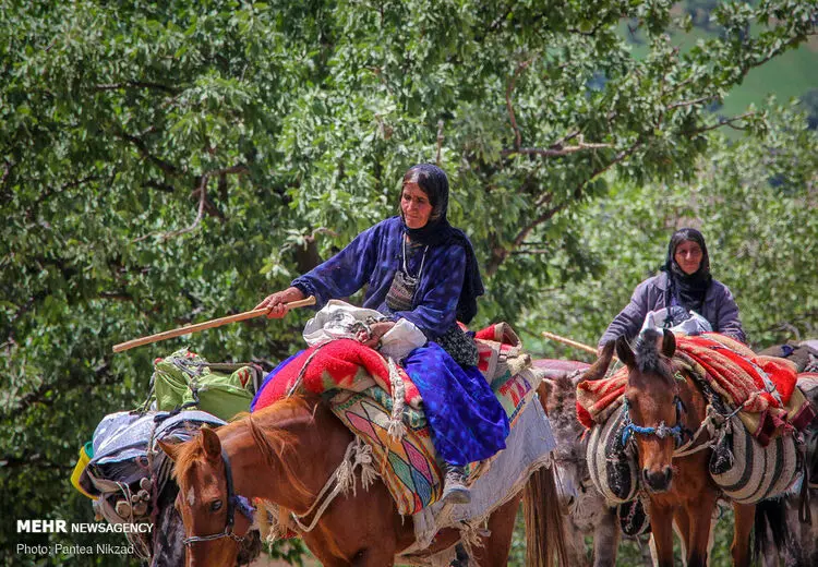 ۴۰ درصد فرش صادراتی کشور را زنان عشایر تولید می‌کنند