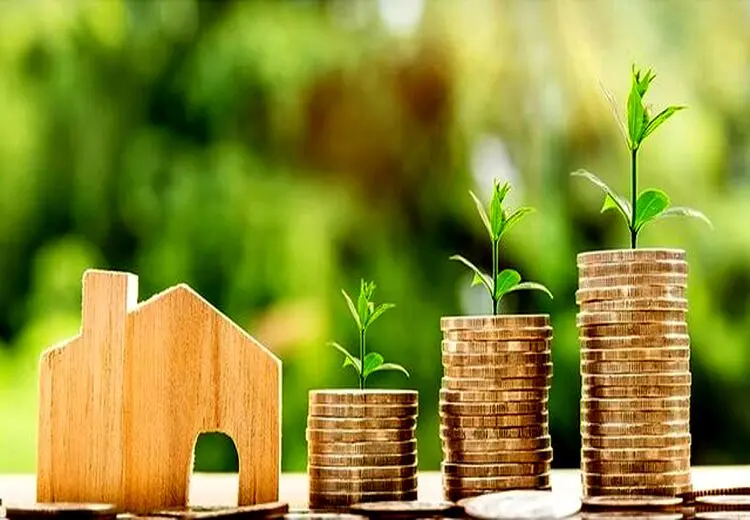 کشف فرار مالیاتی ۷ صندوق قرض‌الحسنه