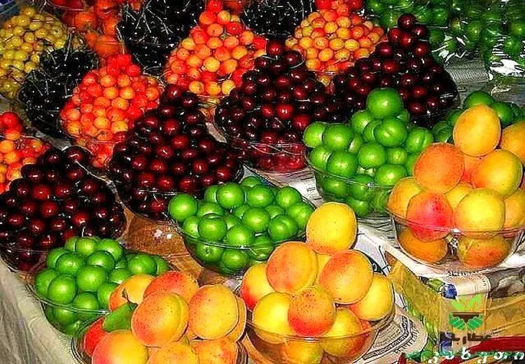  کاهش قیمت میوه‌های نوبرانه/ انبه و آناناس کم طرف‌دارشدند