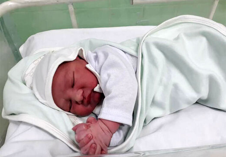 تولد نوزاد عجول در ارتفاع ۹ هزارپایی + فیلم