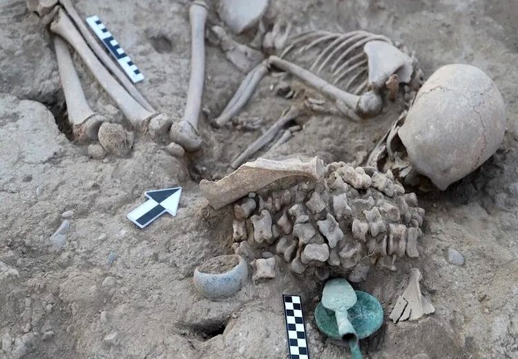 کشف یک دیسک عجیب‌ و غریب در گور باستانی یک دختر 
