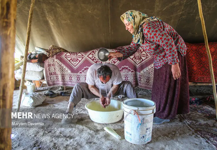 حمام صحرایی