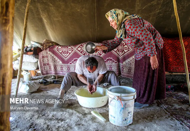 حمام صحرایی