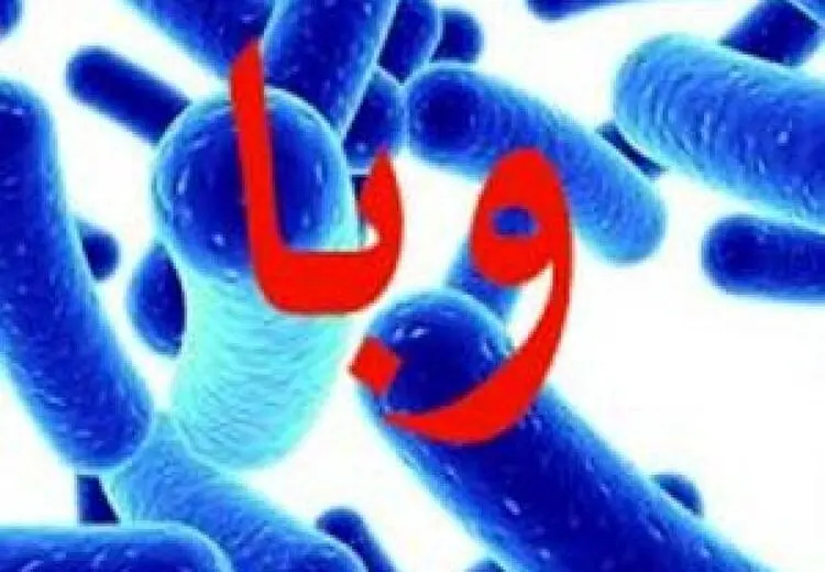 ابتلای قطعی ۶۸ نفر به وبا تاکنون/ اغلب مبتلایان در سنین ۳۰ تا ۶۰ سال