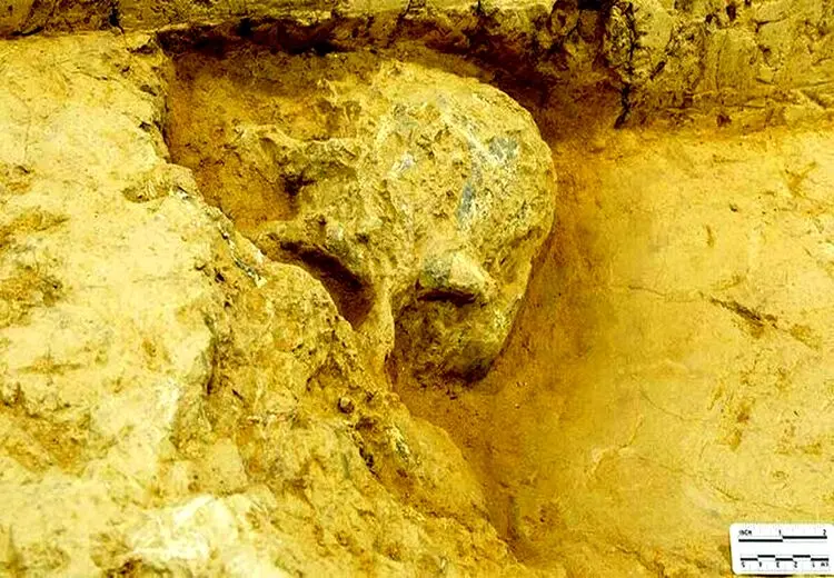 کشف جمجمه انسان یک میلیون ساله در چین + عکس