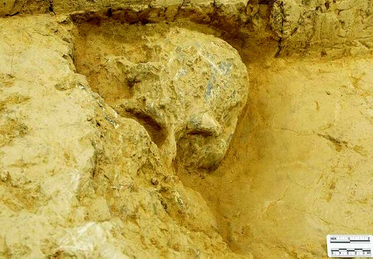 کشف جمجمه انسان یک میلیون ساله در چین + عکس