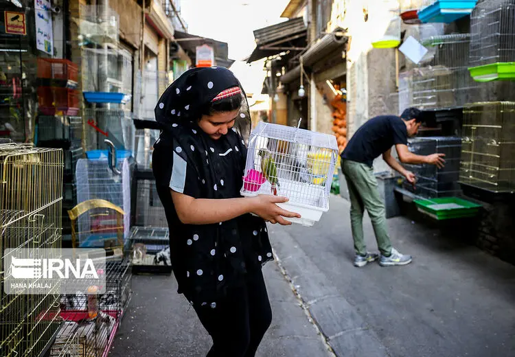دخترک و پرنده