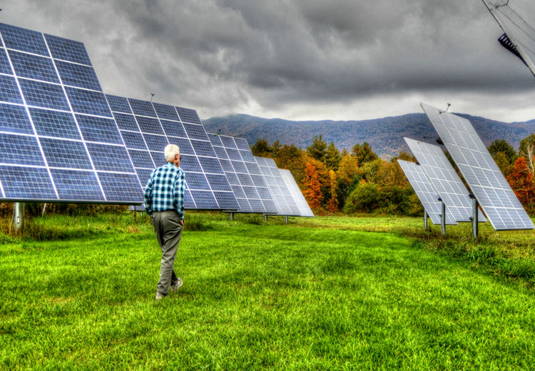درخواست برای لغو ممنوعیت نصب پنل‌های خورشیدی در مزارع
