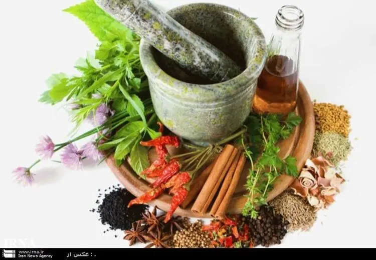 این ۱۰ گیاه دارویی عفونت را از بدن دور می‌کنند