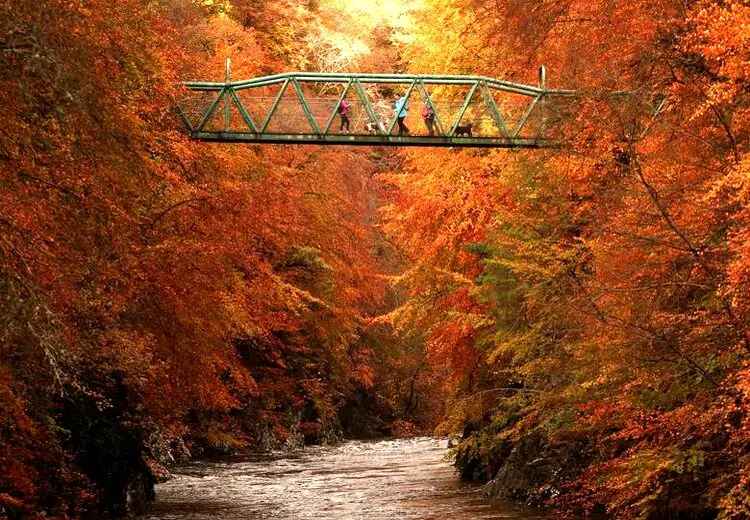 بهشت پاییزی
