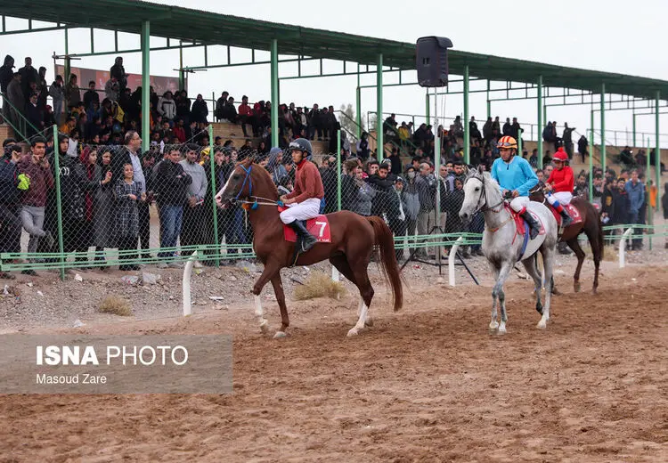 کورس پاییزه اسب دوانی
