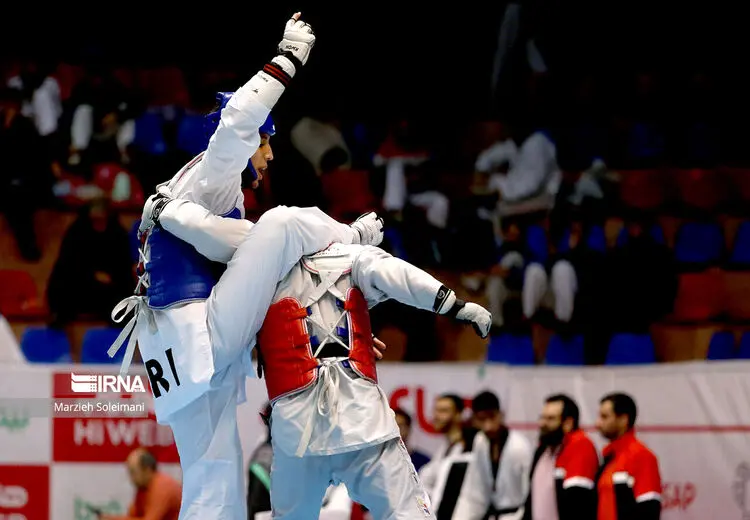 لیگ برتر تکواندو