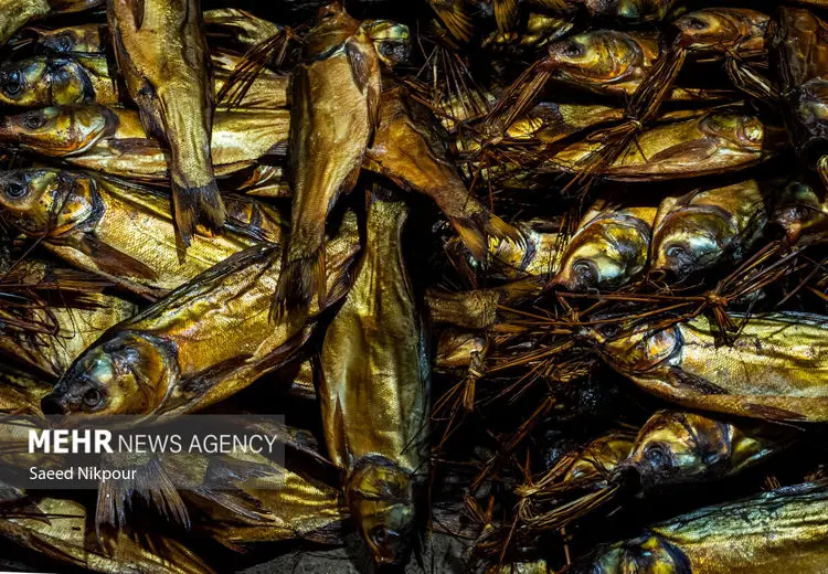 صفر تا صد ماهی دودی