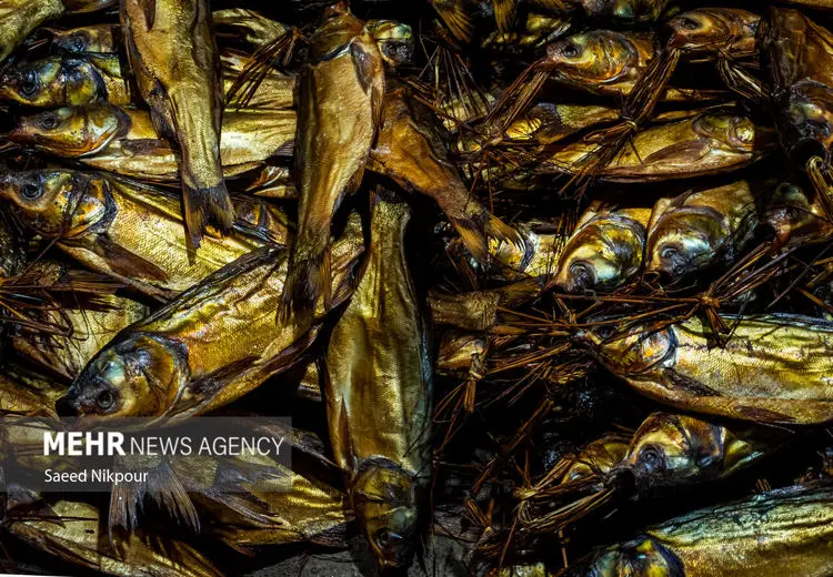 صفر تا صد ماهی دودی