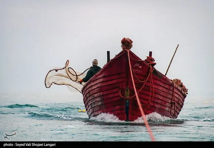 ماهیگیری