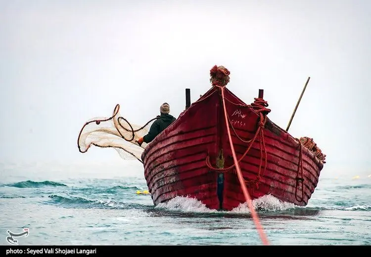 ماهیگیری